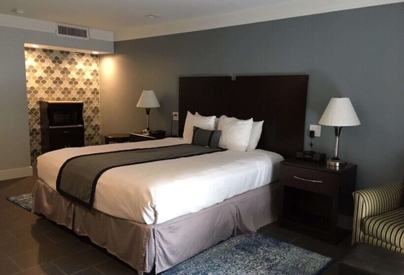 酒店 Best Western Plus Dana Point Inn By The Sea