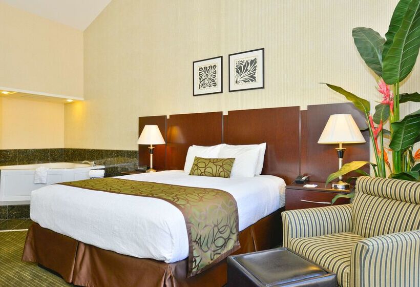 酒店 Best Western Plus Dana Point Inn By The Sea