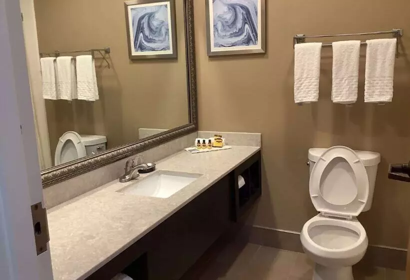 호텔 Best Western Plus Madison