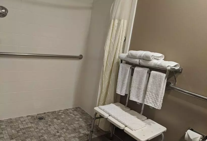 호텔 Best Western Plus Madison