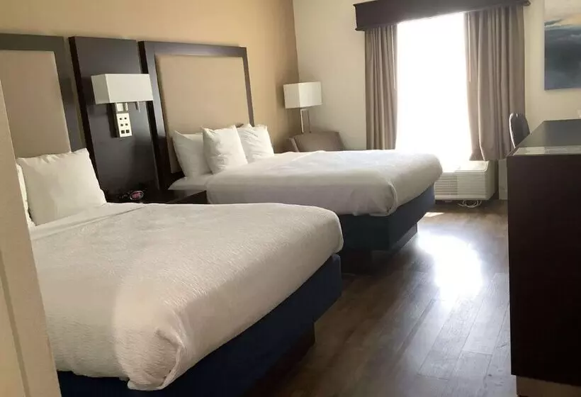 호텔 Best Western Plus Madison