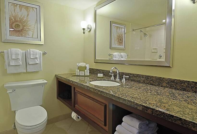 Hotel Courtyard By Marriott Bradenton Sarasota/riverfront