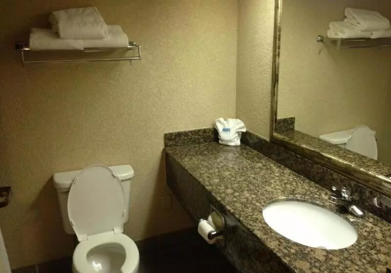 Delta Hotels By Marriott Huntington Downtown