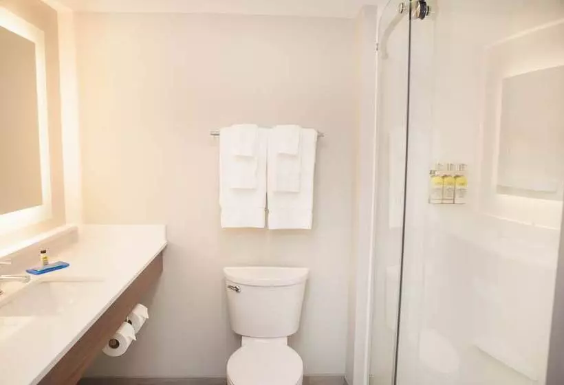 Holiday Inn Express Hotel & Suites Norfolk, An Ihg