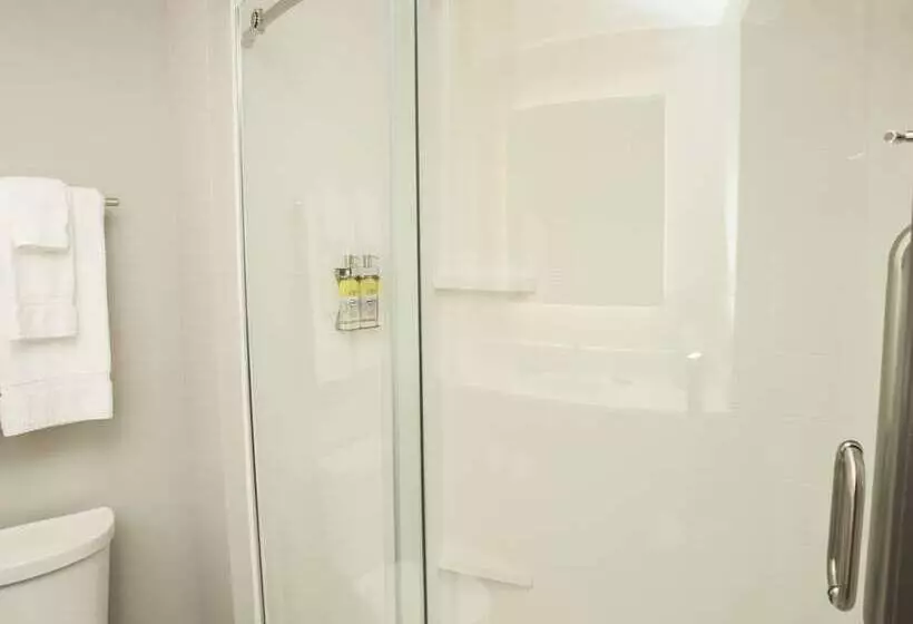 Holiday Inn Express Hotel & Suites Norfolk, An Ihg