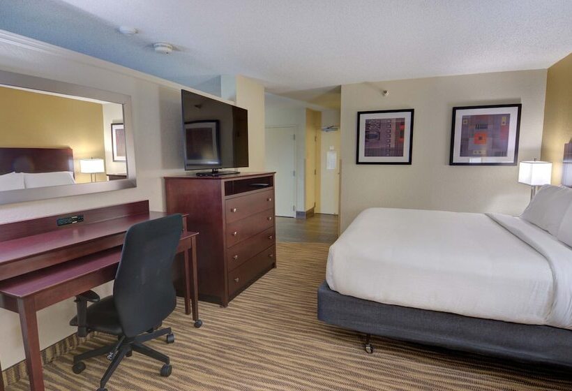 ホテル Holiday Inn St. Petersburg N   Clearwater, An Ihg