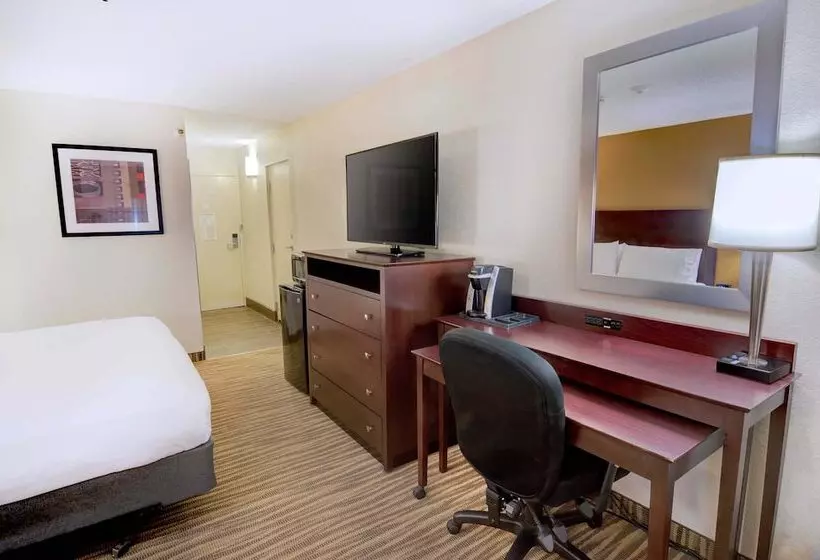 هتل Holiday Inn St. Petersburg N   Clearwater, An Ihg