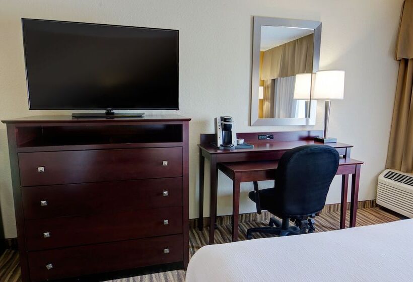 ホテル Holiday Inn St. Petersburg N   Clearwater, An Ihg