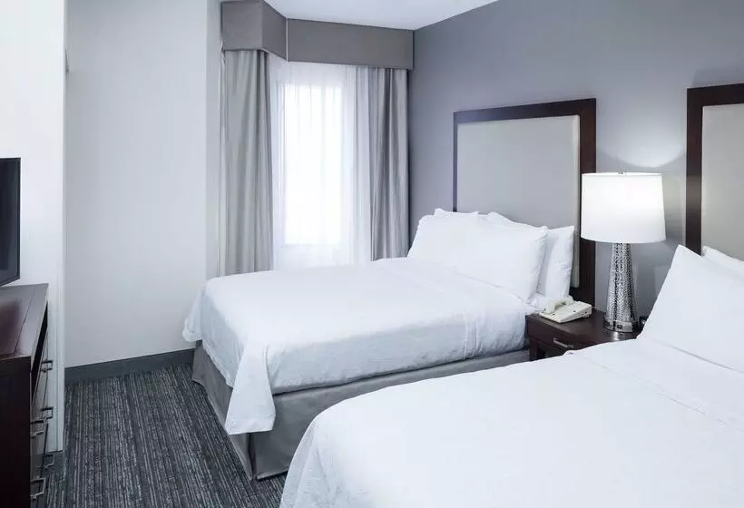 酒店 Homewood Suites By Hilton Chattanoogahamilton Place