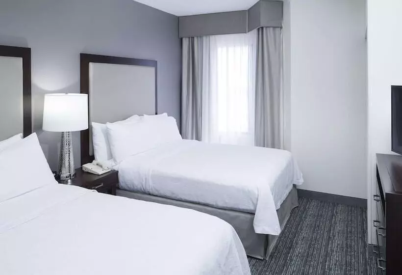 酒店 Homewood Suites By Hilton Chattanoogahamilton Place
