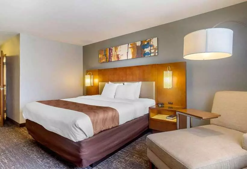 Отель Quality Inn