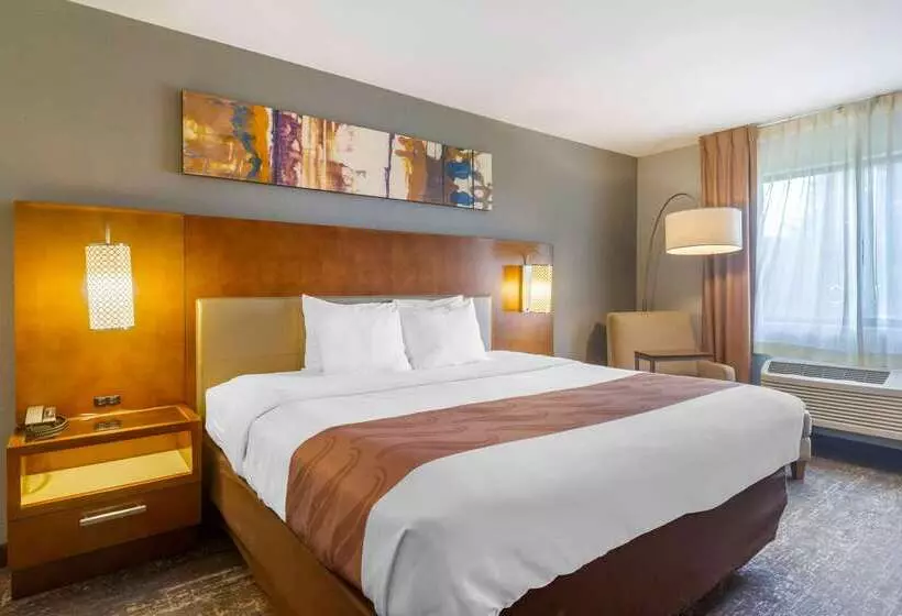 Отель Quality Inn