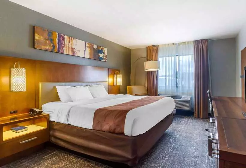 Отель Quality Inn