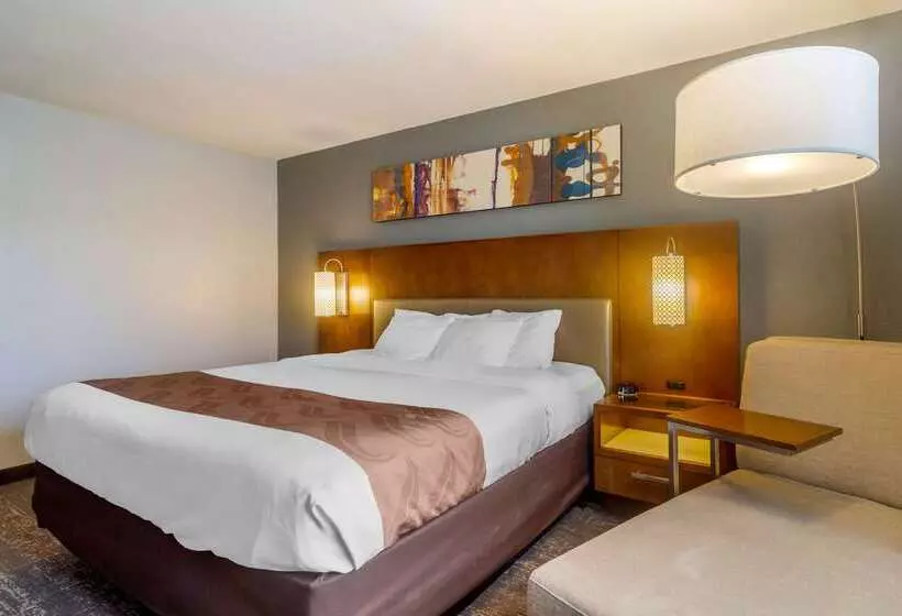 Отель Quality Inn