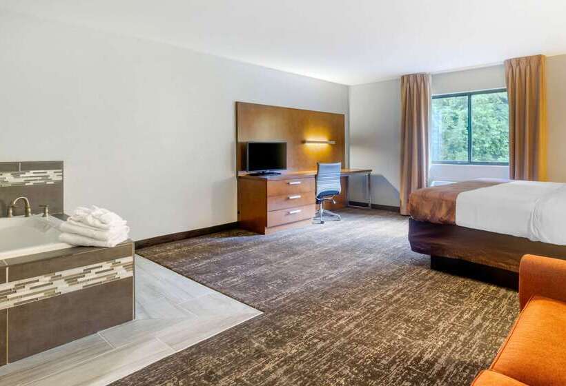 בית מלון כפרי Quality Inn