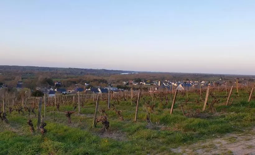 Aamiaismajoitus (B&B) Clos Sainte Catherine