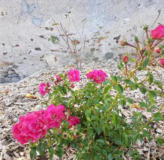 مبيت وإفطار Clos Sainte Catherine