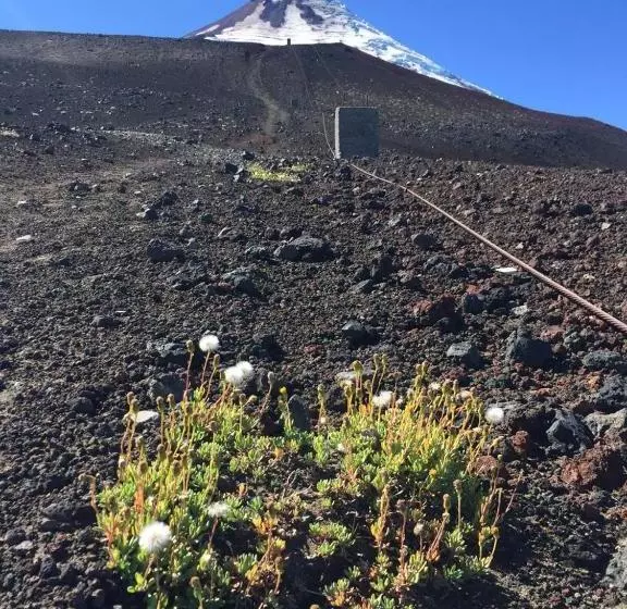 Hamilton's Place Bed And Breakfast