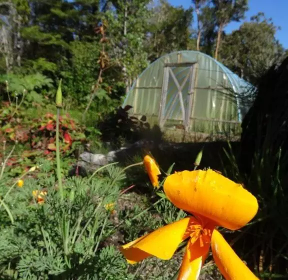 Hamilton's Place Bed And Breakfast