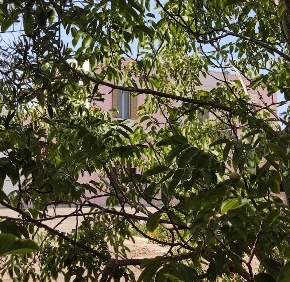 تختخواب و صبحانه Calle Dei Saraceni