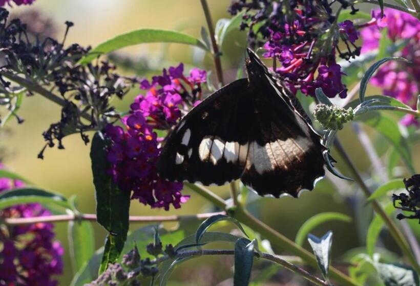 住宿加早餐 Domaine Les Gendalis