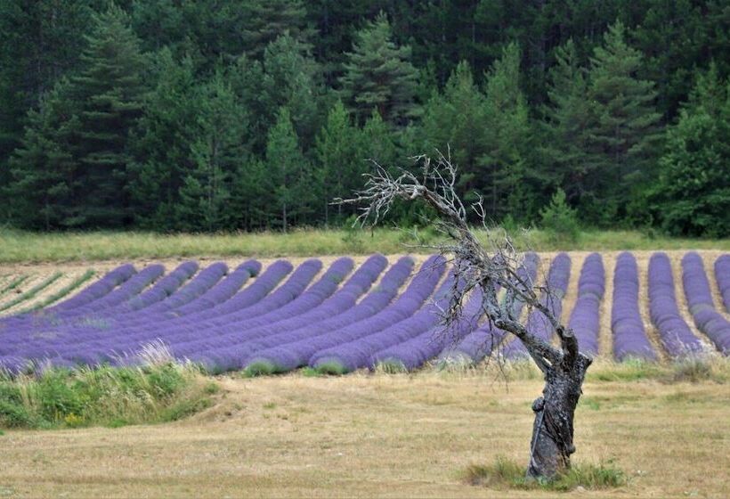 住宿加早餐 Domaine Les Gendalis