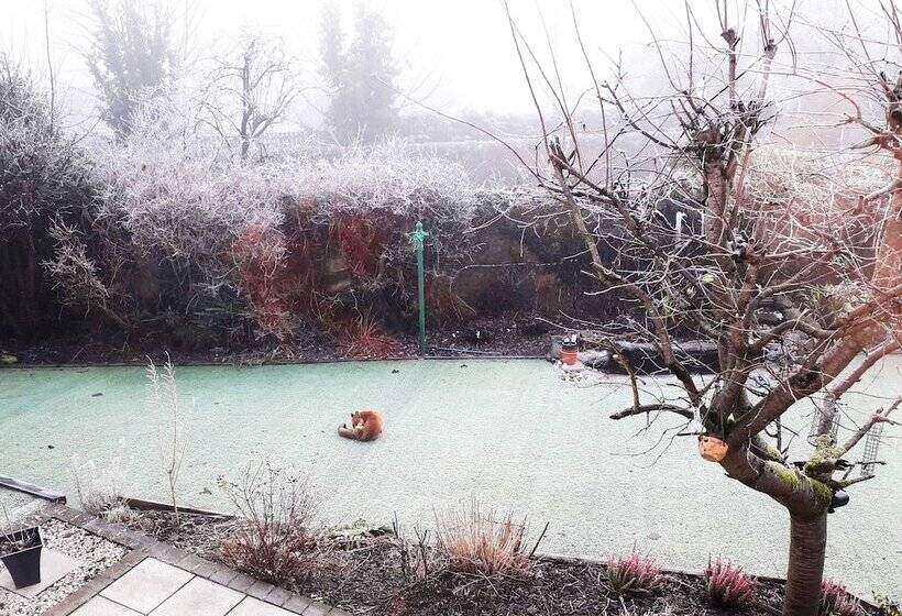 پانسیون Glasgow Emo