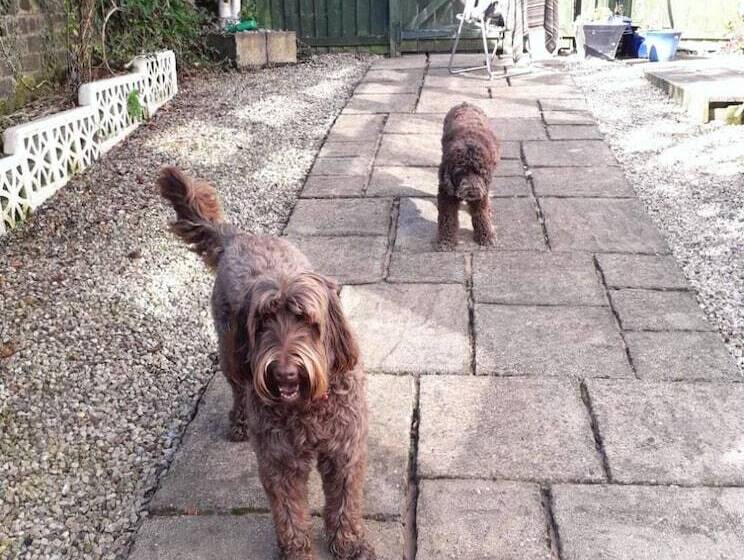 پانسیون Glasgow Emo