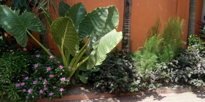 پانسیون Transit Motel Ukonga