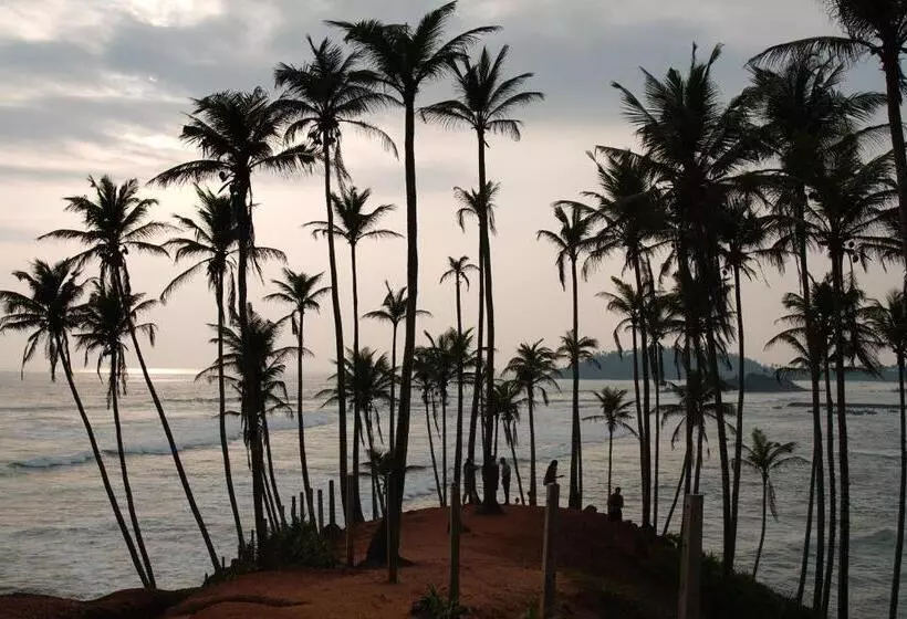 هتل Turtle Bay Beach Resort