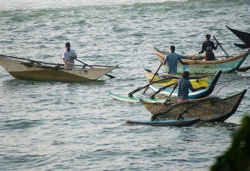 בית מלון כפרי Turtle Bay Beach Resort