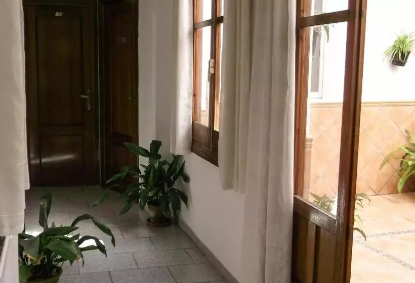 Pensión Ciudad Navarro Ramos