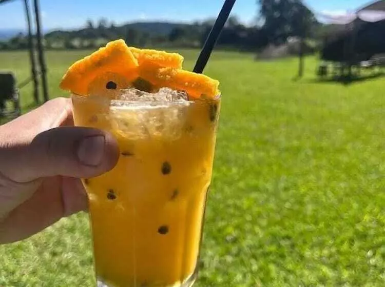 ペンション Pousada E Restaurante Refúgio Dinamarca