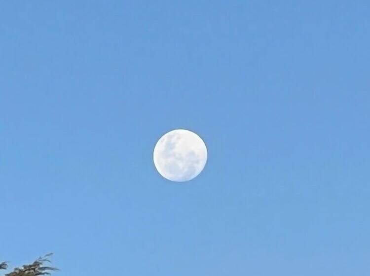 펜션 Pousada E Restaurante Refúgio Dinamarca