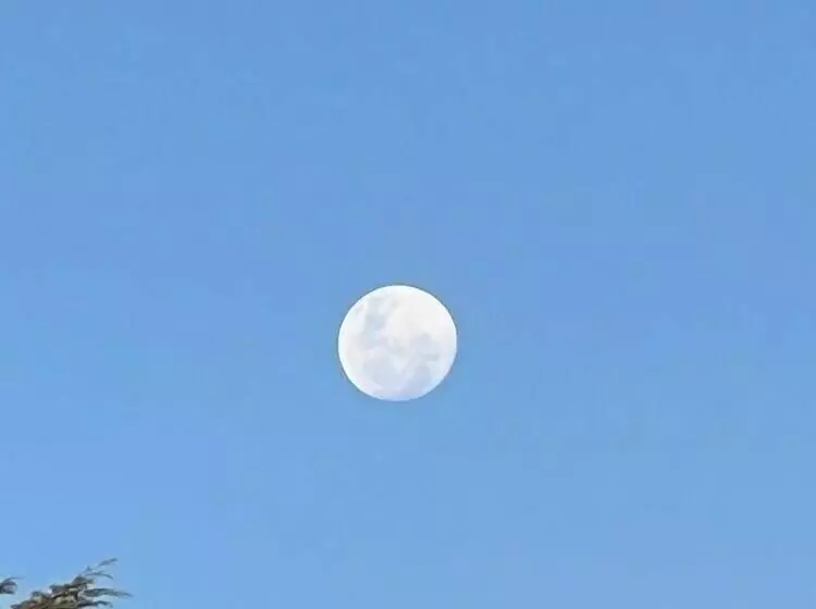 ペンション Pousada E Restaurante Refúgio Dinamarca