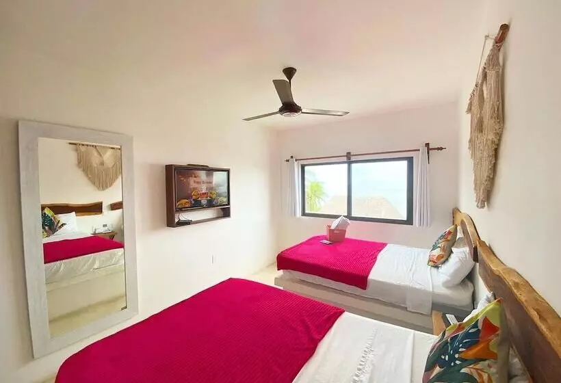 هتل Mittoz Holbox