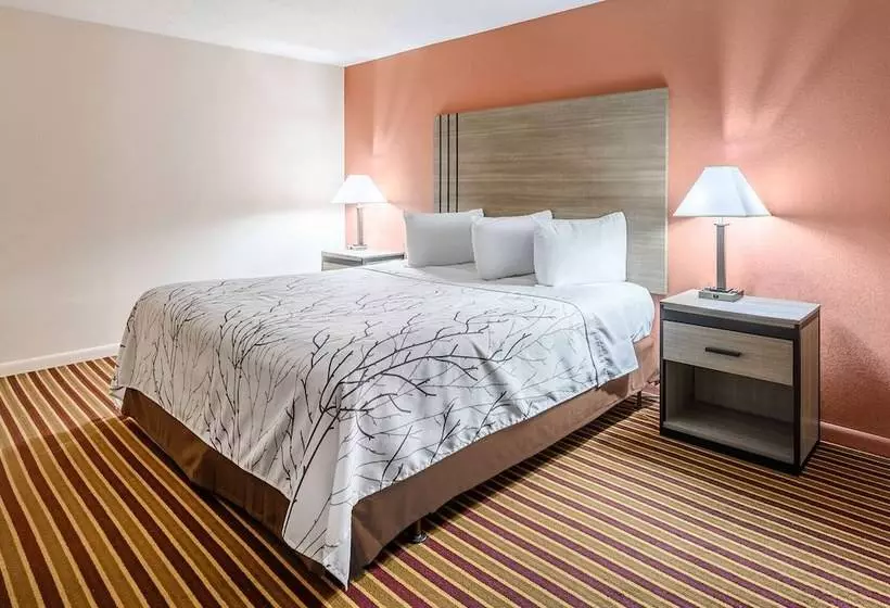 Отель Americas Best Value Inn Heflin