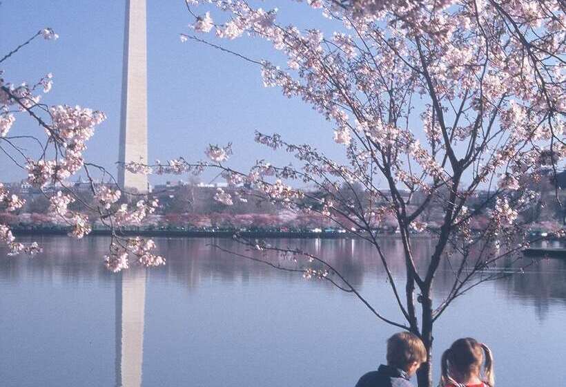 酒店 Homewood Suites By Hilton Falls Church   I 495 At Rt. 50