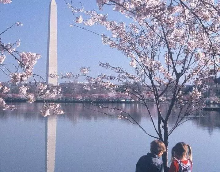 酒店 Homewood Suites By Hilton Falls Church I 495 At Rt. 50