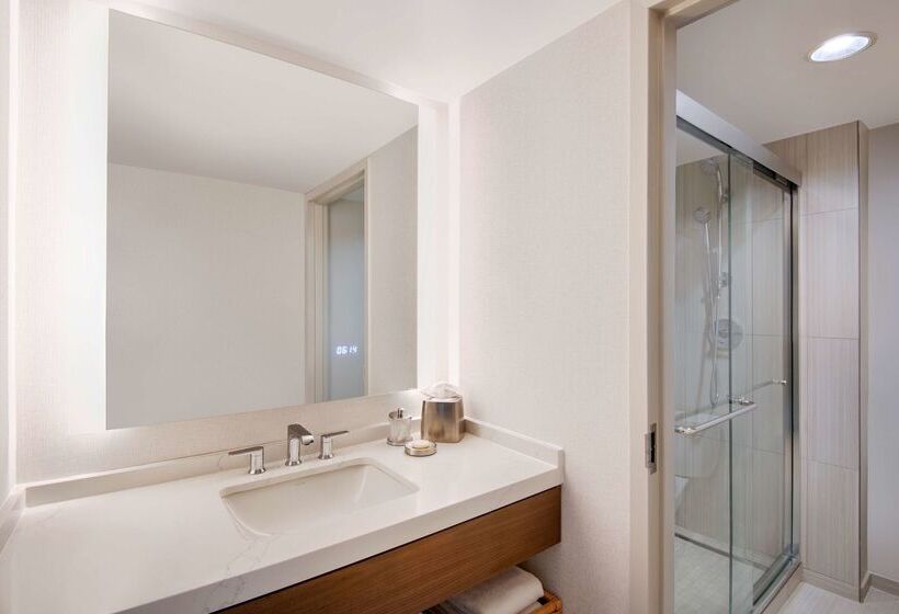 Otel Hyatt Regency Dulles