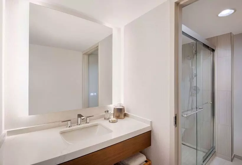 호텔 Hyatt Regency Dulles