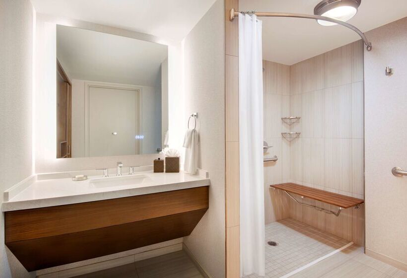 Otel Hyatt Regency Dulles