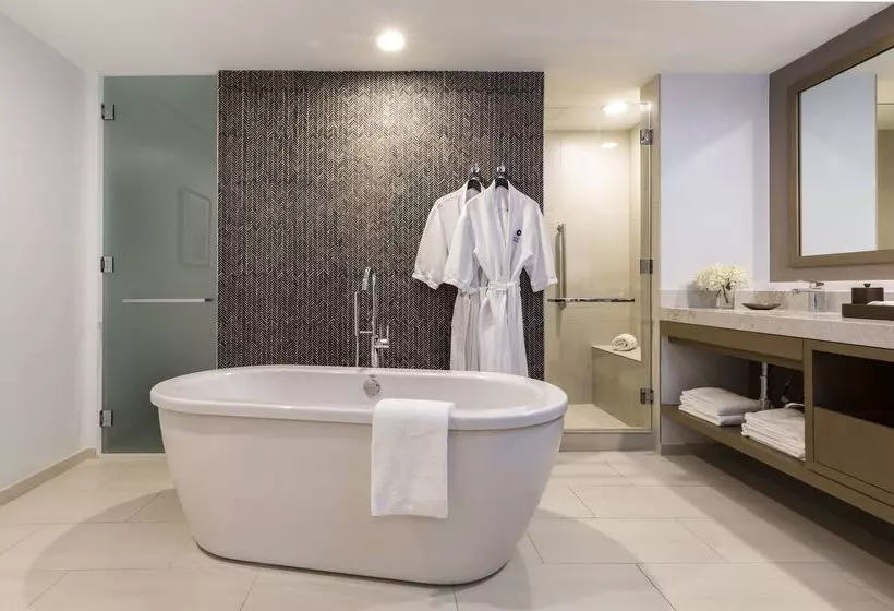 בית מלון כפרי Hyatt Regency Houston Downtown