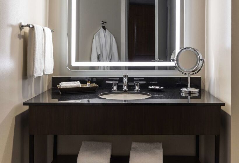 فندق Hyatt Regency Houston Downtown