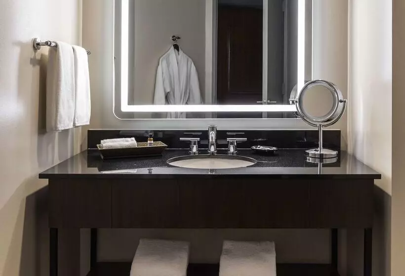 בית מלון כפרי Hyatt Regency Houston Downtown