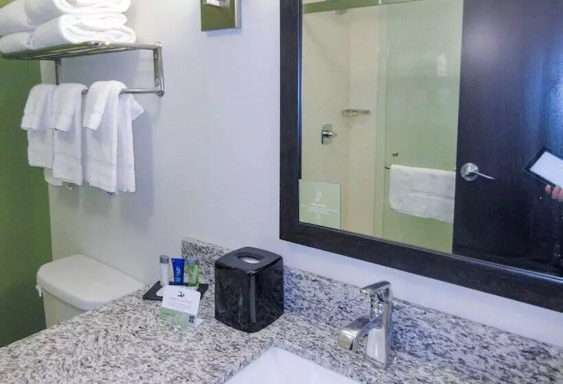 ホテル Sleep Inn Bowling Green North