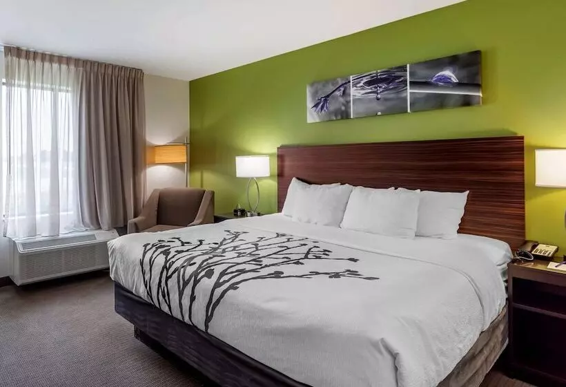 ホテル Sleep Inn Bowling Green North