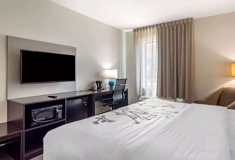 ホテル Sleep Inn Bowling Green North