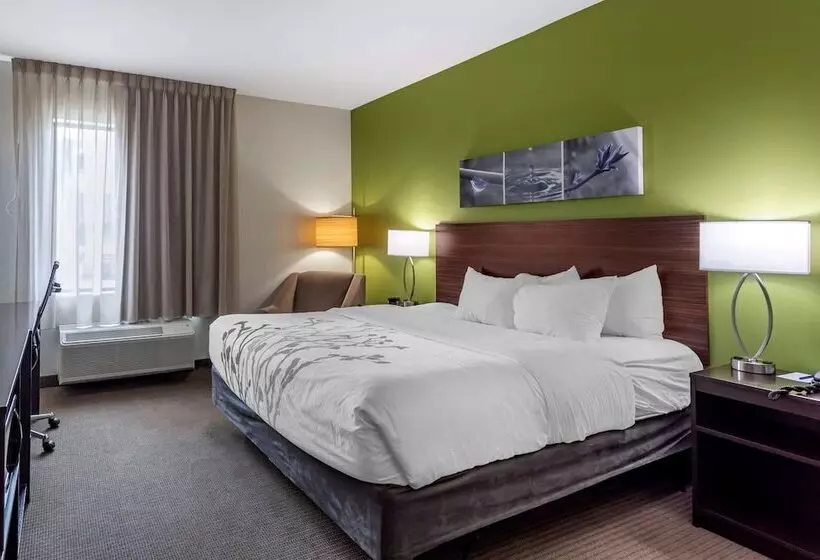 ホテル Sleep Inn Bowling Green North