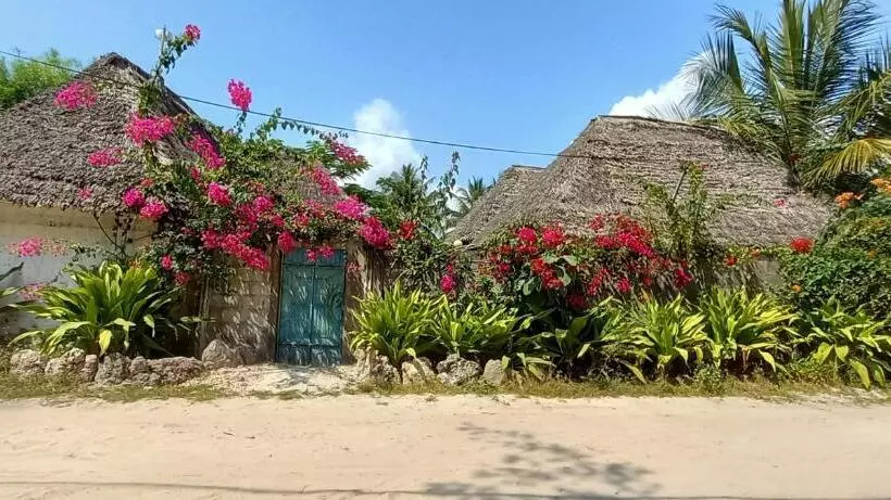 ベッドアンドブレックファースト Morningstar Bungalows Zanzibar